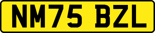 NM75BZL