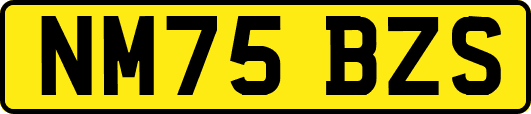 NM75BZS