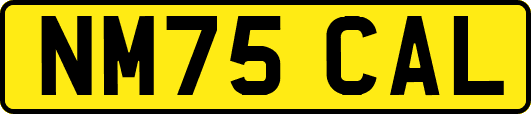 NM75CAL