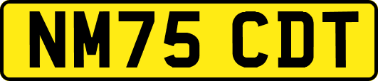 NM75CDT