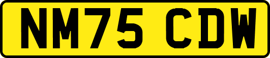 NM75CDW
