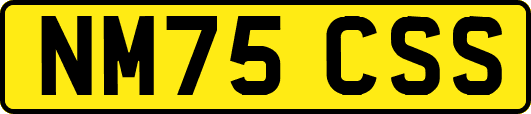 NM75CSS