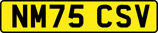 NM75CSV