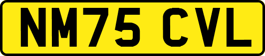 NM75CVL