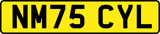 NM75CYL