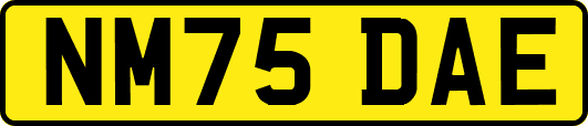 NM75DAE