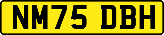 NM75DBH