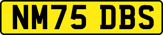 NM75DBS
