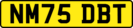 NM75DBT