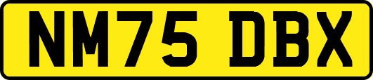 NM75DBX