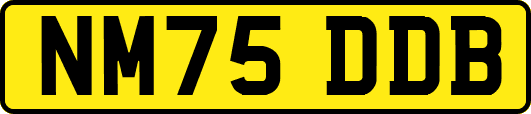 NM75DDB