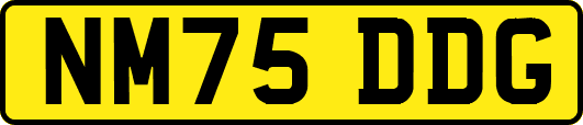 NM75DDG