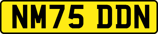 NM75DDN