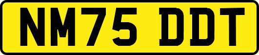 NM75DDT