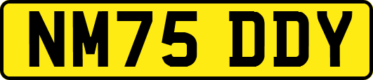 NM75DDY