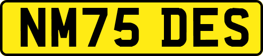 NM75DES