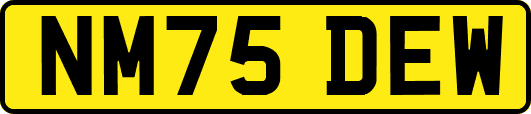 NM75DEW