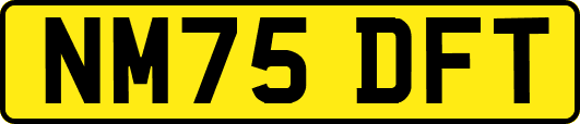 NM75DFT