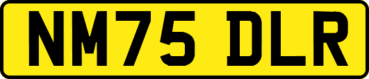 NM75DLR