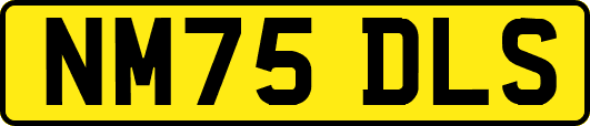 NM75DLS