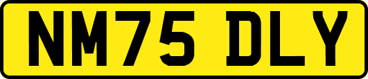 NM75DLY