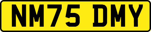 NM75DMY