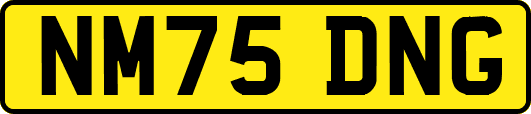 NM75DNG