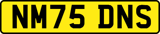 NM75DNS