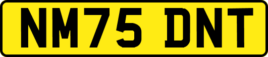 NM75DNT