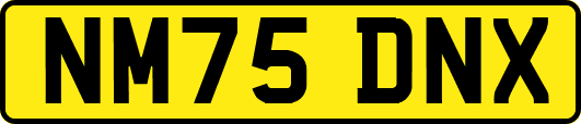 NM75DNX