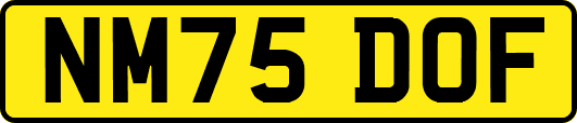 NM75DOF