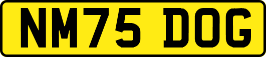 NM75DOG