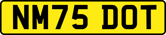 NM75DOT