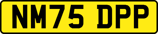 NM75DPP