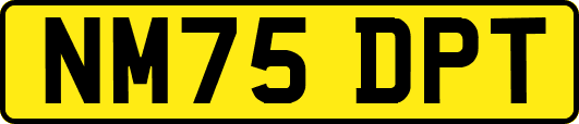 NM75DPT
