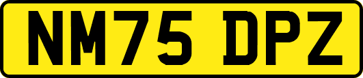 NM75DPZ