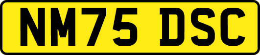 NM75DSC