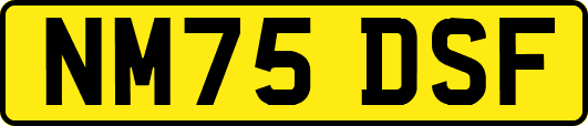 NM75DSF