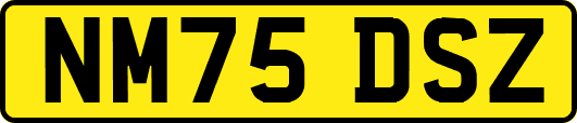 NM75DSZ