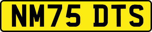 NM75DTS