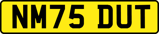 NM75DUT