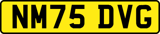 NM75DVG
