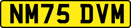 NM75DVM