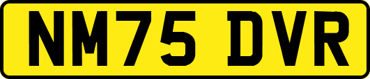 NM75DVR