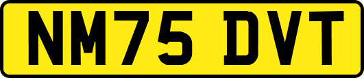 NM75DVT