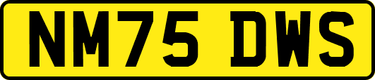 NM75DWS