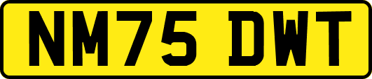 NM75DWT