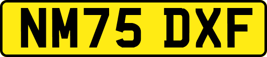 NM75DXF