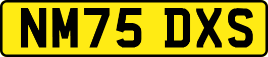 NM75DXS