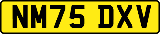 NM75DXV